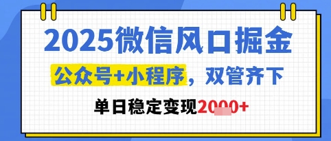 2025微信风口掘金，公众号+小程序双管齐下，单日稳定变现1k+【揭秘】-立刻分享网创平台