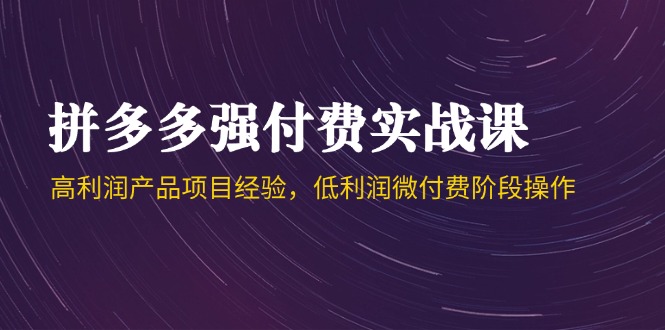 拼多多强付费实战课-44期，高利润产品项目经验，低利润微付费阶段操作-立刻分享网创平台
