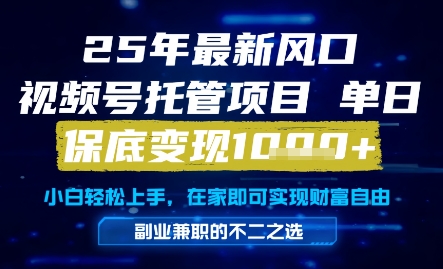 25年最新风口，视频号托管项目，单日保底变现1k+，手把手教学【揭秘】-立刻分享网创平台