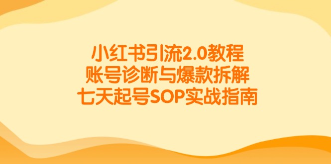 小红书引流2.0教程，账号诊断与爆款拆解，七天起号SOP实战指南-立刻分享网创平台
