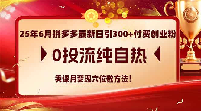 25年6月拼多多最新日引300+付费创业粉，0投流纯自热 卖课月变现六位数方法-立刻分享网创平台