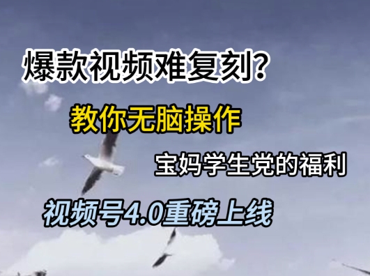 视频号4.0重磅上线，爆款视频难复刻？教你无脑操作宝妈学生党的福利【揭秘】-立刻分享网创平台