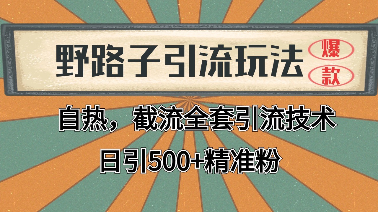 2024首发野路子引流玩法截流自热全平台打法，全自动引流【日引2000+精准客户】-立刻分享网创平台