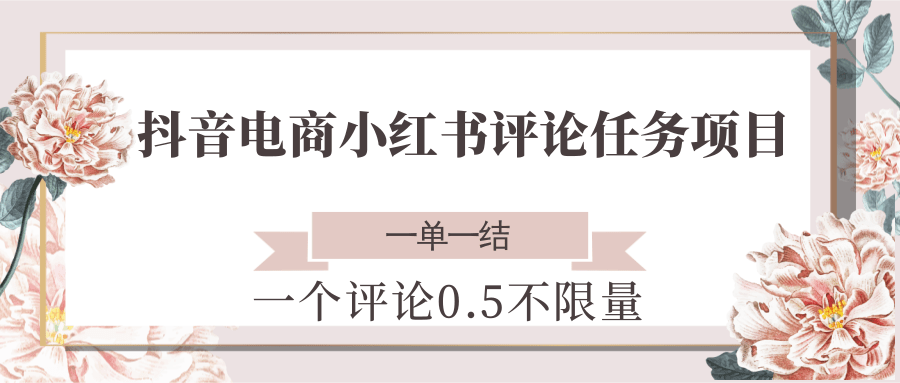 抖音电商小红书评论任务项目，一个评论0.5，一单一结 不限量-立刻分享网创平台
