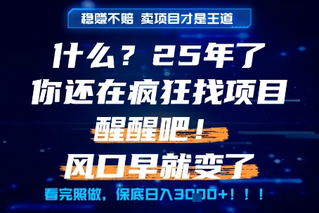 什么？25年你还在疯狂找项目做，醒醒吧，看完这些你全都懂了！【揭秘】-立刻分享网创平台