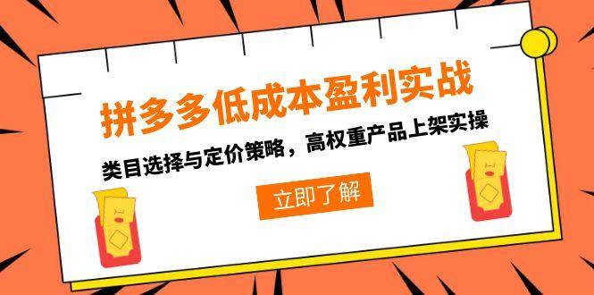 （15143期）拼多多低成本盈利实战，类目选择与定价策略，高权重产品上架实操-立刻分享网创平台