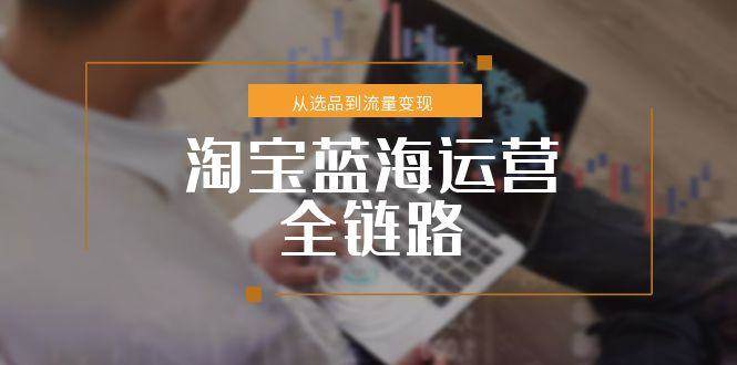 （15160期）淘宝蓝海运营全链路，从选品到流量变现，小类目突围完整方案-立刻分享网创平台