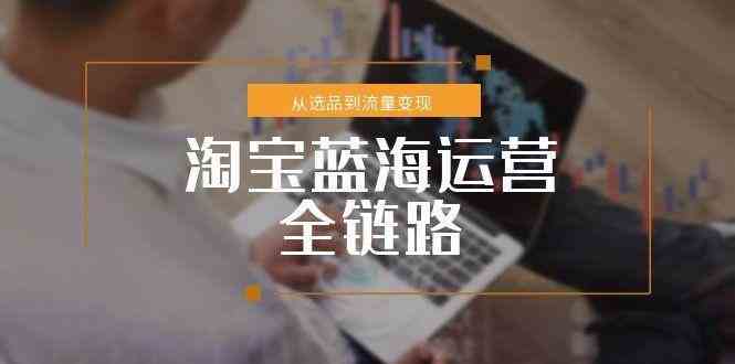 淘宝蓝海运营全链路，从选品到流量变现，小类目突围完整方案-立刻分享网创平台