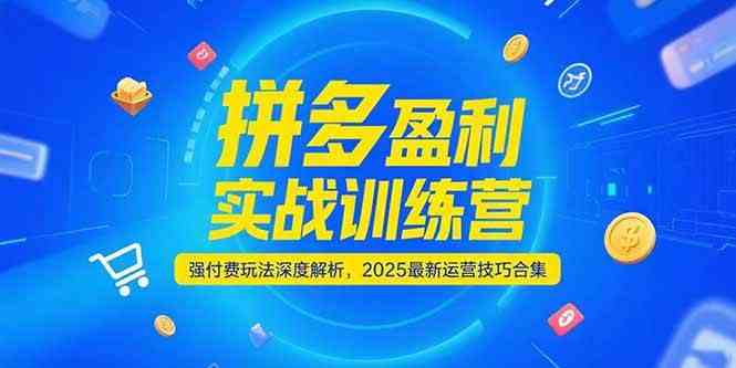 拼多多盈利实战训练营，强付费玩法深度解析，2025最新运营技巧合集-立刻分享网创平台