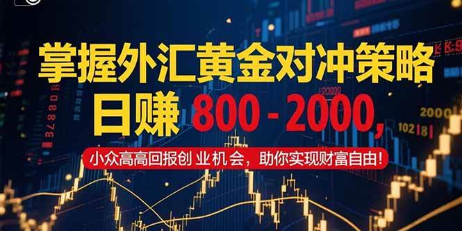（15198期）掌握外汇黄金对冲策略，日赚 800 – 2000，小众高回报创业机会，助你实…-立刻分享网创平台