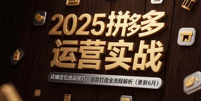 （15235期）2025拼多多运营实战：店铺定位选品技巧，爆款打造全流程解析（更新6月）-立刻分享网创平台