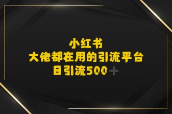 小红书，大佬都在用的大粉平台，日引流500+-立刻分享网创平台
