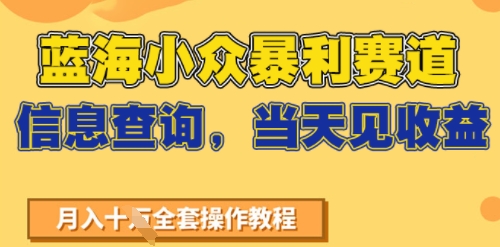 蓝海小众暴利赛道，信息查询，当天见收益，不讲玄学，7天搞了2W+-立刻分享网创平台