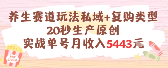 养生赛道玩法私域+复购类型，20秒生产原创实战单号月收入5k+-立刻分享网创平台