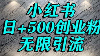 小红书无限引流创业粉，单人操作日引500+精准创业粉-立刻分享网创平台