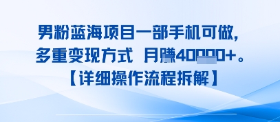 8月新男粉蓝海项目一部手机可做，多重变现方式 月入4W+【详细操作流程拆解】-立刻分享网创平台