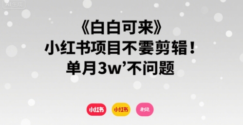小白可来 小红书项目不需要剪辑 单月3w不是问题-立刻分享网创平台