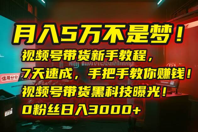 （15595期）月入5万不是梦！视频号带货新手教程，7天速成，手把手教你赚钱！视频号…-立刻分享网创平台