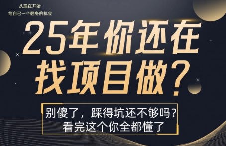 25年，你还在疯狂的找项目吗？别傻了，看完这个你都懂了【揭秘】-立刻分享网创平台
