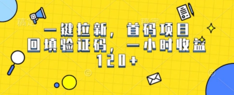一键拉新，首码项目，回填验证码，一小时收益1张-立刻分享网创平台