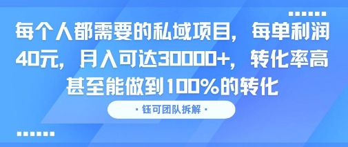 每个人都需要的私域项目，每单利润40米，月入可达3W+，转化率高 甚至能做到100%的转化-立刻分享网创平台