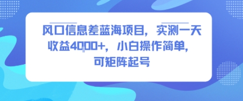 风口信息差蓝海项目，实测一天收益4k+，小白操作简单，可矩阵起号-立刻分享网创平台