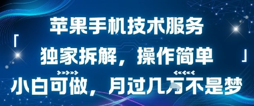 苹果手机技术服务，独家拆解，操作简单，小白可做，月过1W不是梦-立刻分享网创平台