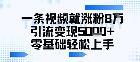 一条视频就涨粉8W引流变现5k+，0基础项目轻松上手-立刻分享网创平台