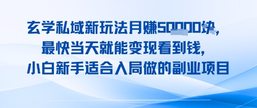 玄学私域新玩法月入1W+，最快当天就能变现看到米，小白新手适合入局做的副业项目-立刻分享网创平台
