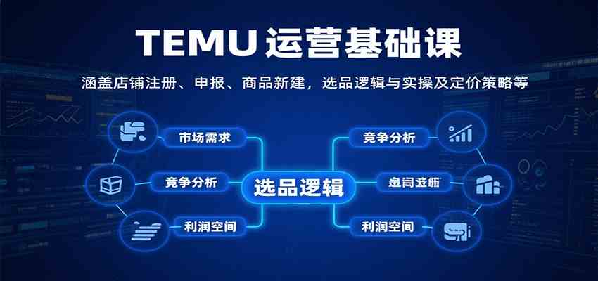 TEMU运营基础课：涵盖店铺注册、申报、商品新建，选品逻辑与实操及定价策略等-立刻分享网创平台