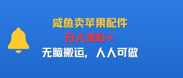 咸鱼卖苹果配件，日入3张+，无脑搬运，人人可做-立刻分享网创平台