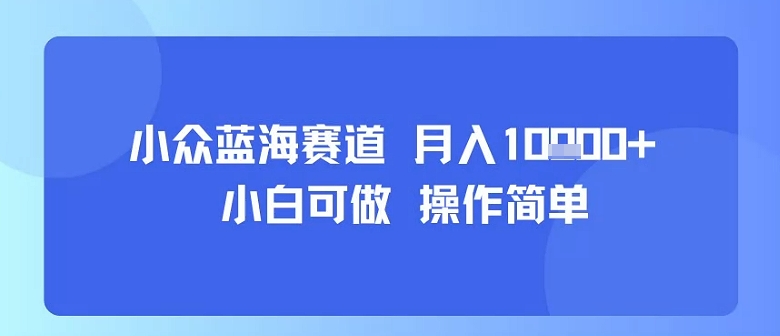 小众蓝海赛道，小白可做，操作简单，每天30分钟，月入1W+-立刻分享网创平台