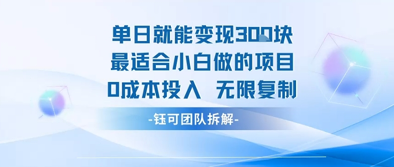 单日就能变现3张最适合小白做的项目0成本投入 无限复制-立刻分享网创平台