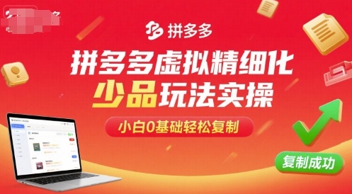 拼多多虚拟精细化少品玩法实操，小白0基础轻松复制-立刻分享网创平台