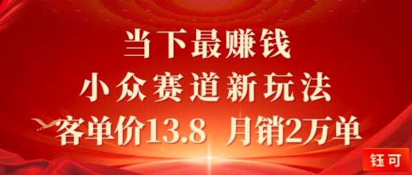当下最挣钱的小众赛道 小红书新玩法10个作品涨粉3W，客单价13.8 月销2W单-立刻分享网创平台