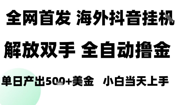 海外抖音无人直播，单日产出1.5k+，长期稳定，新手可玩，无脑操作【揭秘】-立刻分享网创平台