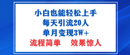 小白也能轻松上手的宝妈项目，每天引流20人，单月变现3W+，流程简单，效果惊人-立刻分享网创平台