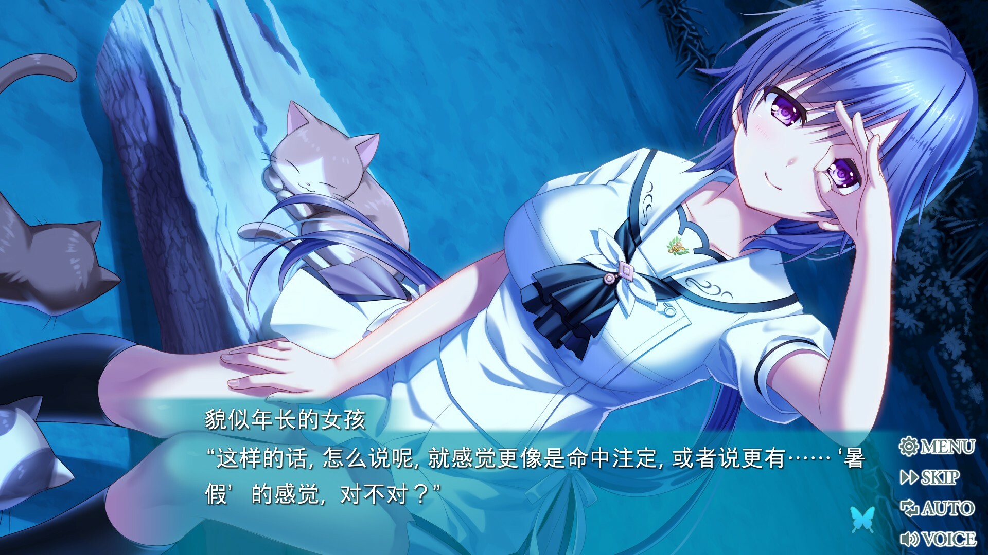 夏日口袋：流光蓝/Summer Pockets REFLECTION BLUE-立刻分享网创平台