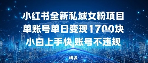 小红书全新私域女粉项目单账号单日变现多张，小白上手快账号不违规建议准备多账号操作-立刻分享网创平台