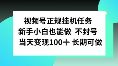 视频号正规挂播任务，有手就行不违规，轻松日入1张-立刻分享网创平台