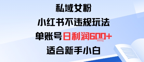 私域女粉：小红书平台不违规玩法单账号日利润6张+适合新手小白-立刻分享网创平台