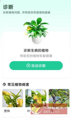 Plant Parent 植物养护v1.100高级版-立刻分享网创平台