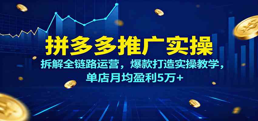 拼多多推广实操，拆解全链路运营，爆款打造实操教学，单店月均盈利5万+-立刻分享网创平台