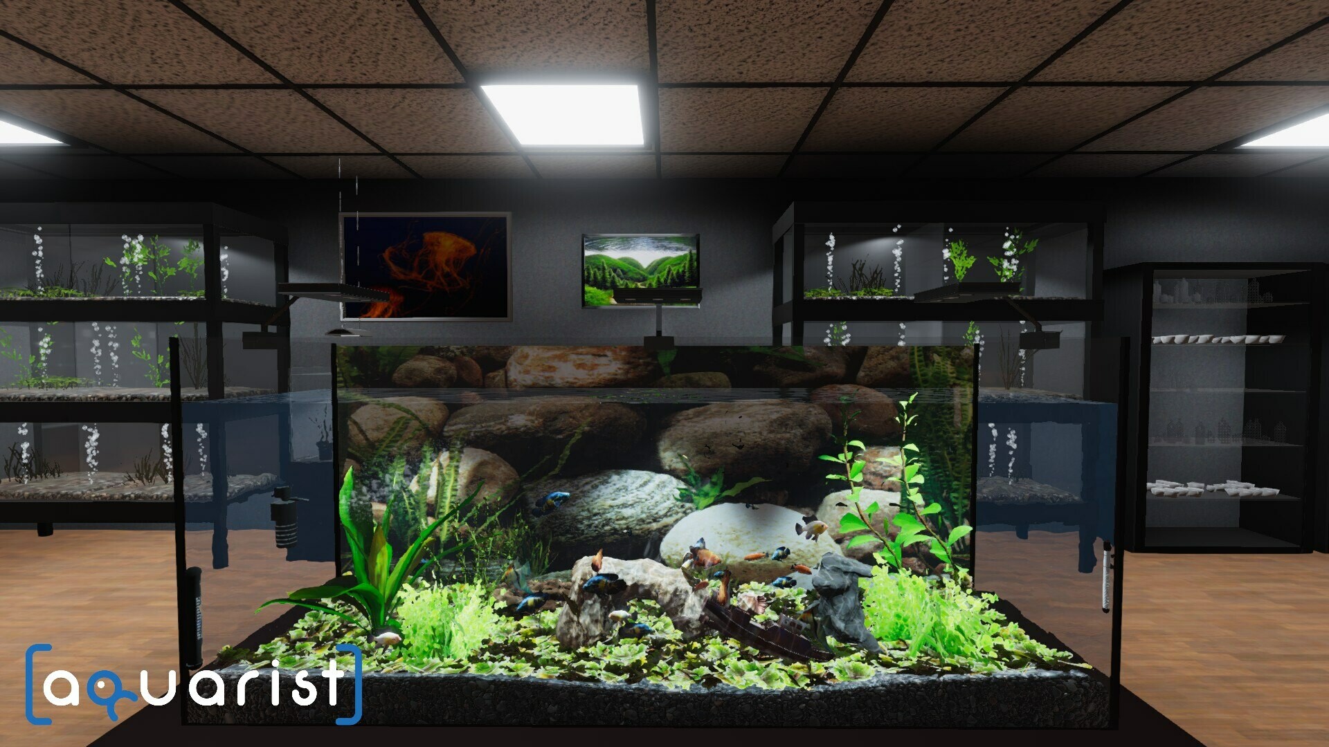 Aquarist – 建造水族馆，养鱼，发展你的事业！-立刻分享网创平台