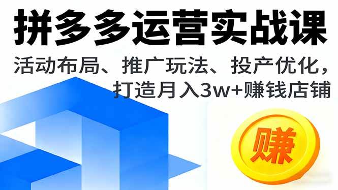 （16135期）拼多多运营实战课，活动布局、推广玩法、投产优化，打造月入3w+赚钱店铺-立刻分享网创平台