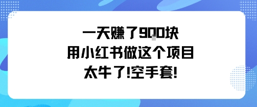 一天挣了9张用小红书做这个项目太牛了，空手套-立刻分享网创平台