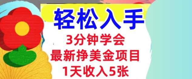 最新挣美金项目，日入5张，3分钟学会，小白轻松入手（长久的被动收入）-立刻分享网创平台
