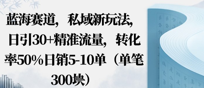 蓝海赛道，私域新玩法，日引30+精准流量，转化率50%日销5-10单（单笔3张）-立刻分享网创平台
