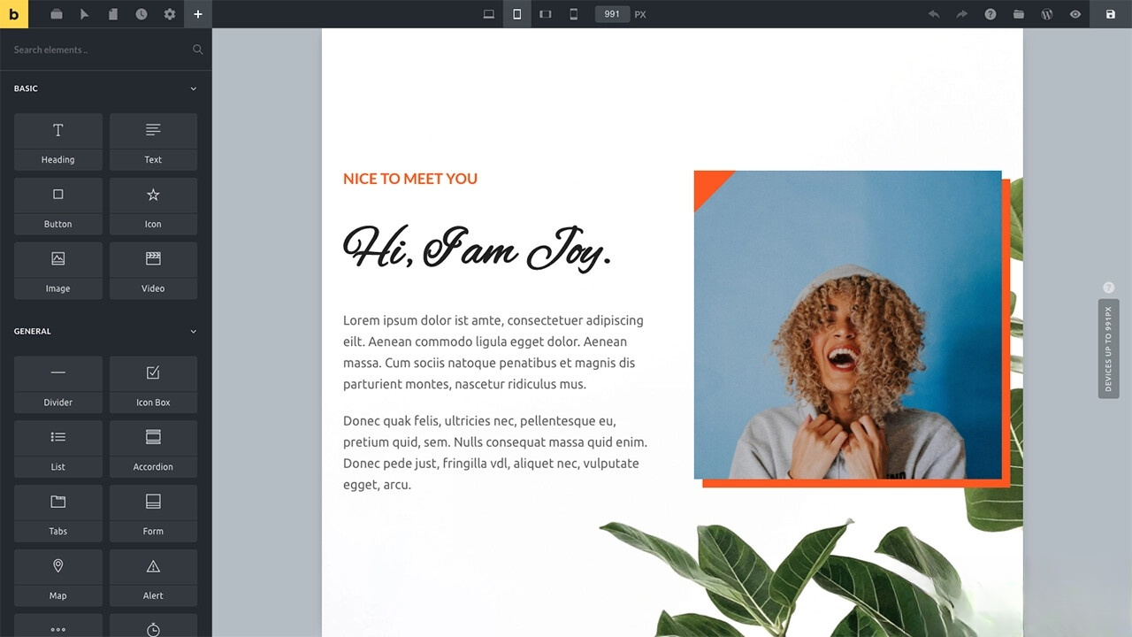 WordPress主题Bricks v1.9 破解版-立刻分享网创平台