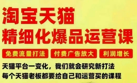 淘宝天猫精细化爆品运营课，免费流量打法-付费广告放大-利润增长-三大核心痛点，一次全部解决-立刻分享网创平台